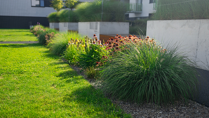 Cómo mantener el jardín saludable durante todo el año - SAUBER Cleaning & Services