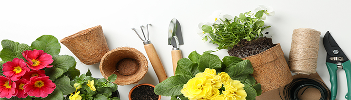 Empresa de Mantenimiento de Jardines - SAUBER Cleaning & Services